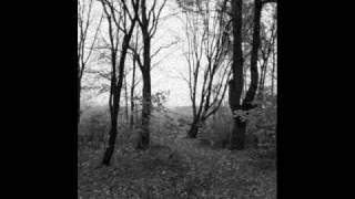 Moonlight- Meren re (Dobranoc)