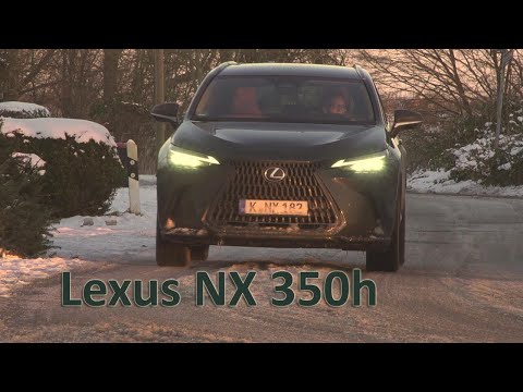 KIA Lexus NX 350h 2024