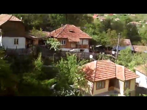 Drona Braiesti paste 2016