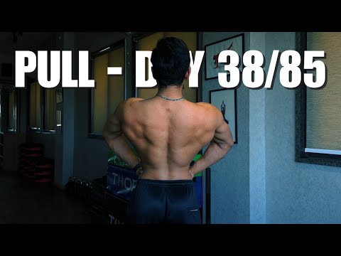 Pull - Spring bulk day 38/85