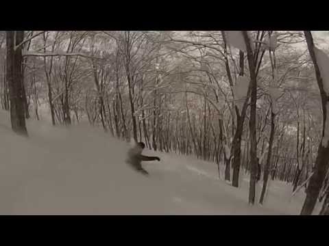 Japan Powder Skiing Cortina Tree Runs Jan 2015