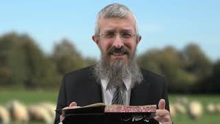מסכת בבא קמא דף עג  - 8 דקות של לומדות ועמקות בדרך הלימוד הישיבתית [bava kamma 73]