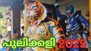 കുട്ടി പ്പുലി സൂപ്പർ❤️💚#പുലിക്കളി 2025.@thrissur pulikkali 2025