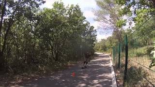 preview picture of video 'Championnat de France 2014 de Longboard - Slalom géant à Sophia Antipolis'