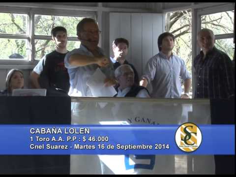 Lolen - Ventas Toros PP - Campos y Ganados S.A.- 16/09/2014