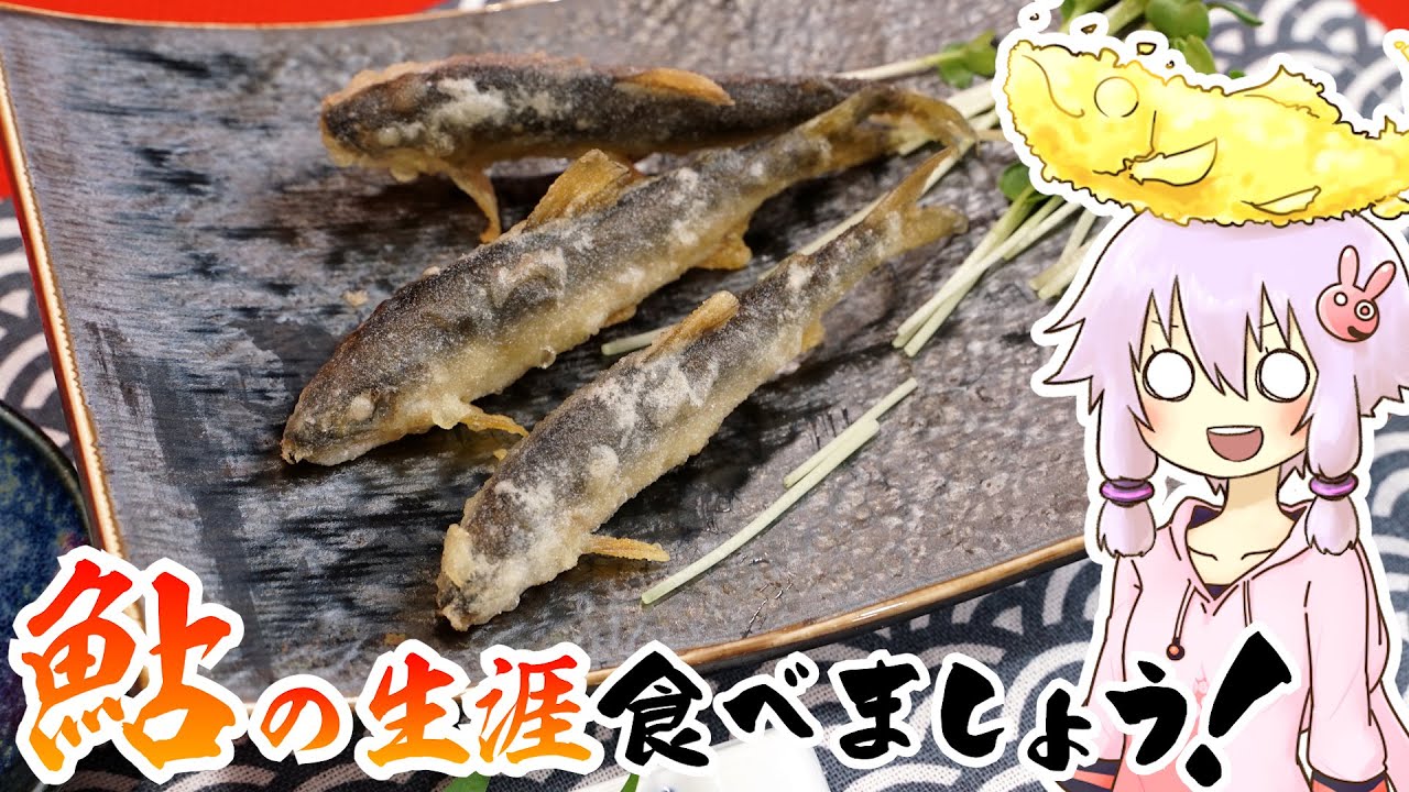 結月ゆかりのお腹が空いたのでVol.47「鮎食べましょう」