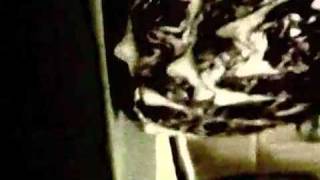 the ugly kitchen--charlatans uk--the architect