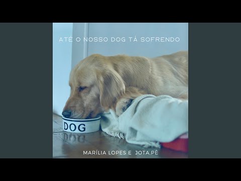 Até o Nosso Dog Tá Sofrendo (Volta)