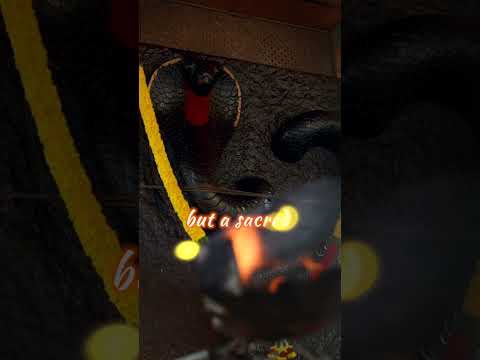 vp-g13