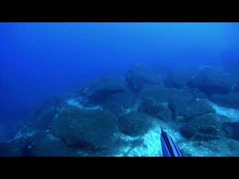 El Greco Deep spearfishing - Dentex Dentex , 2.5kg