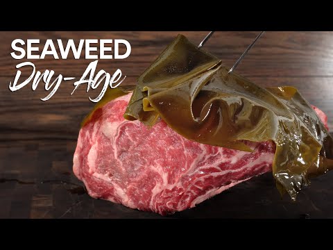 Lost at Sea METHOD of Dry-Ageing Beef, It's INSANE!