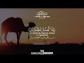 Surah Takwir Verses 1 9 Hamed Alizadeh حامد علیزادہ Peaceful Recitation The Holy Records