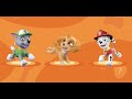 Paw Patrol Paw Patrol Game Nick Jr Ready Set Solve It