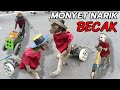 Funny Monkey Topeng Monyet Lucu Dan Keren Narik Becak