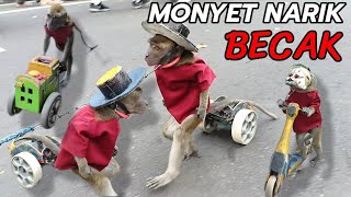 Download lagu Funny Monkey Topeng Monyet Lucu dan Keren Narik Becak mp3
