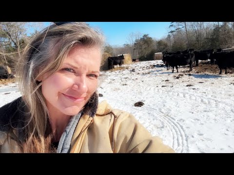Snow Storm Round 1 : Frozen Pipes, Frozen Hay, Frozen Farm!