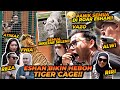 ESHAN BIKIN PANIK SEMUA ORANG DI DALEM TIGER CAGE BARU PERTAMA KALI ESHAN ISENG KAYA GINI