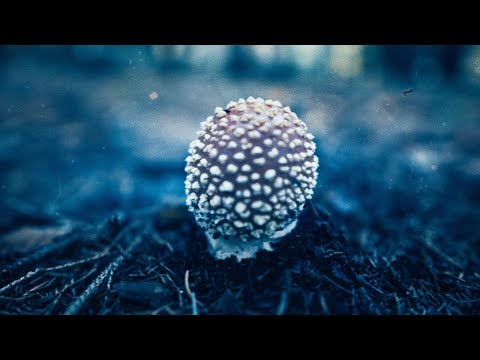 Tony Vise - Resilience (Cello solo on Roli Seaboard)