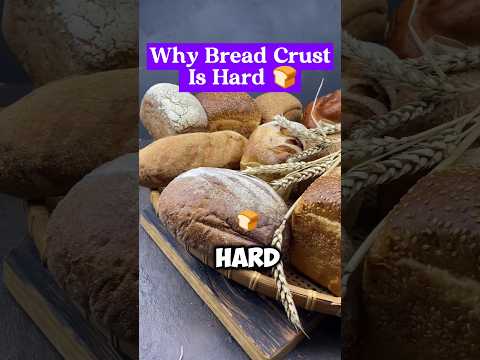 Why Bread Crust Is Hard 🍞#facts #shorts