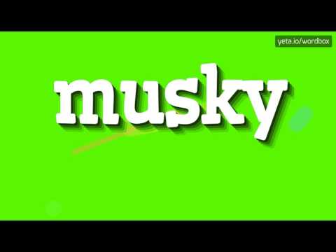 MUSKY - HOW TO PRONOUNCE MUSKY? #musky