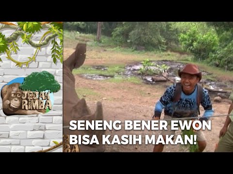 EWON SENENG! Bisa Beri Makan Badak Secara Langsung Gitu | JEJAK RIMBA EPS 30 (2/2)