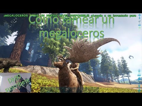 como tamear un megaloceros de forma facil / dk90