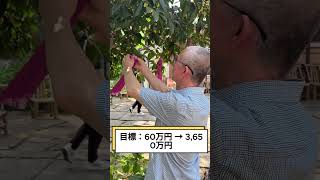 #日本株#株式投資#投資初心者#資産運用#日本市場#株の勉強#株式入門#投資生活#デイトレード#スイングトレード#長期投資#高配当株
