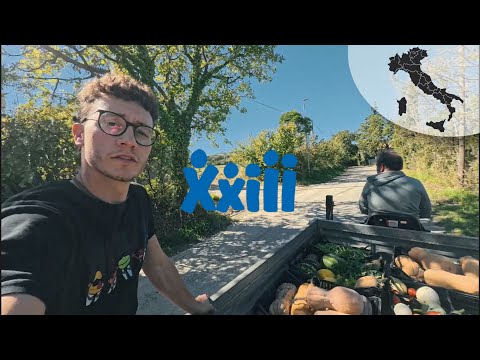 Formazione in Casa Famiglia + ASMR Fattoria