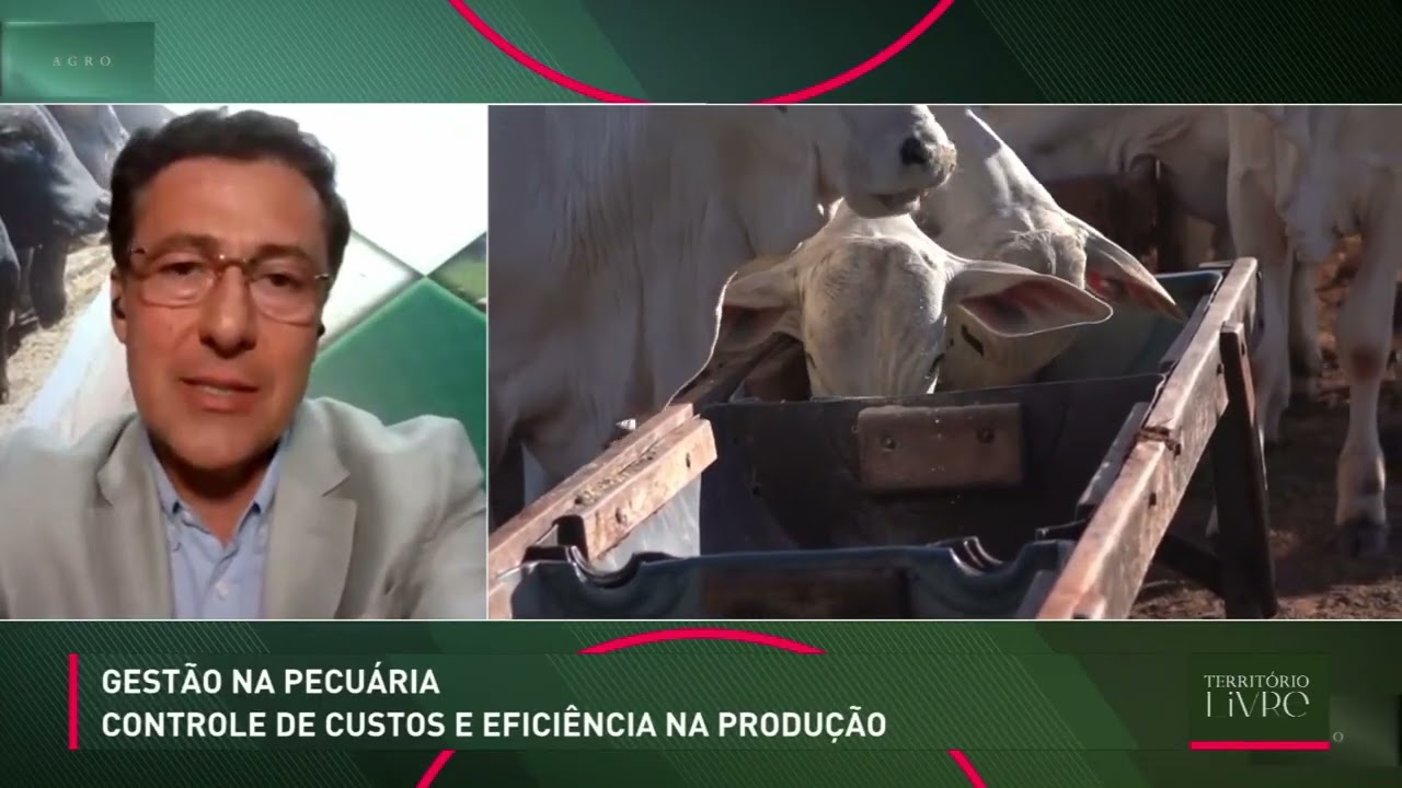 Controle de custos e eficiência na pecuária
