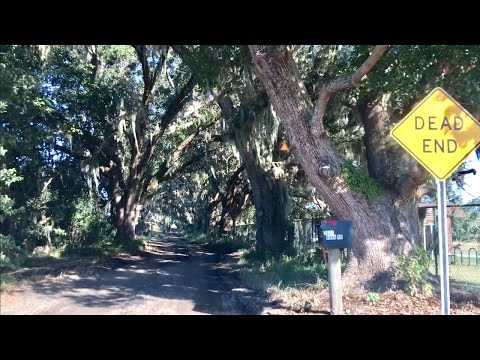 TDW 1621 - They Say This Is Haunted