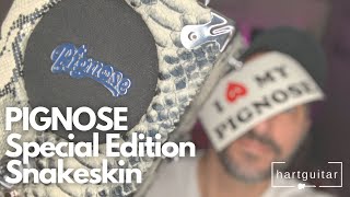 Video thumbnail for gear review #54 • Pignose Portable Amp Snakeskin Special Edition by hartguitar