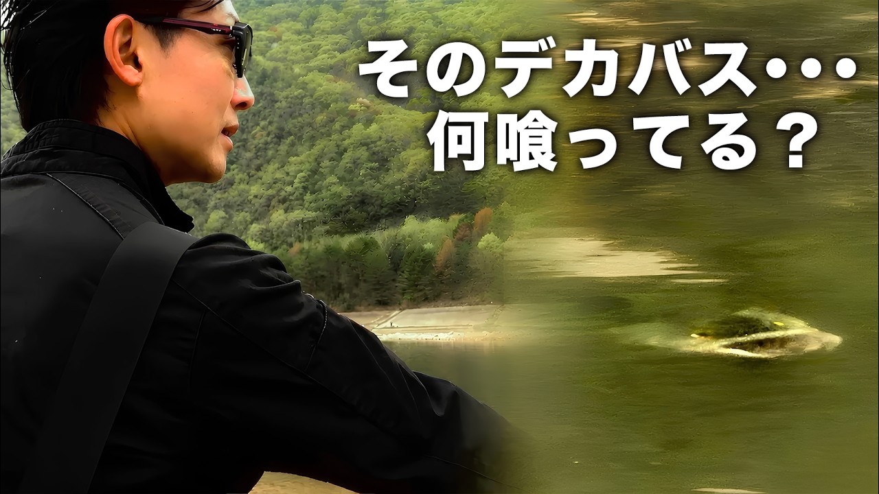 リコリス LRS-75MLS | issei [一誠]
