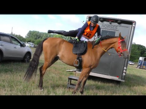 Farouk does calm to hyper in 60 seconds💥