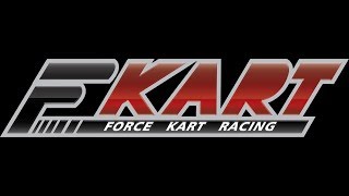 preview picture of video 'Force Kart Racing 2014'