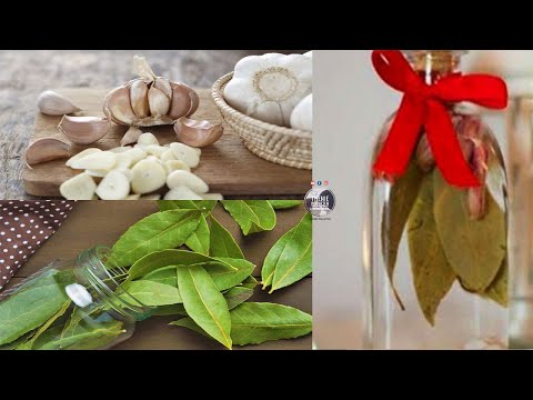 Mos harroni qe sonte te merrni 1 thelpi hudhër dhe gjethe dafine para orës 12! Ja arsyeja e forte