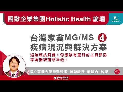 台灣家禽MG/MS疾病現狀與解決方案-第四集《台灣禽場MS實況快播》