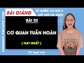 Tự nhiên xã hội lớp 3 Bài 20: Cơ quan tuần hoàn