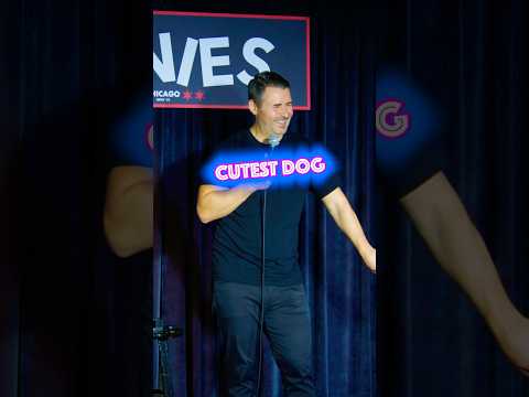 This lady is wrong #standupcomedy #comedy #comedyshorts #ilovemydog