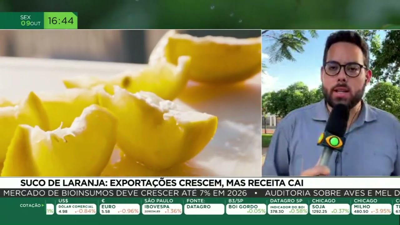 Suco de laranja: exportações crescem, mas a receita cai