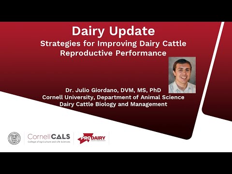 , title : 'Reproductive Strategies for Second and Greater AI Services of Lactating Dairy Cows'