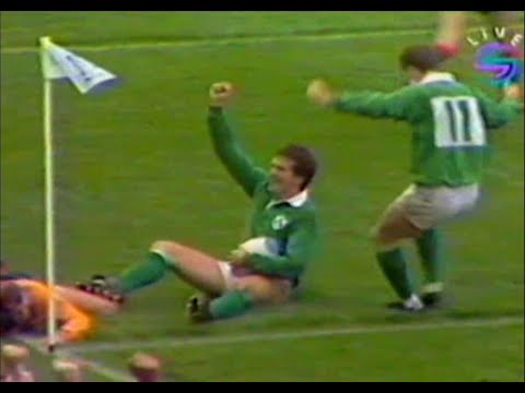 1991 Ireland vs Australia Rugby World Cup Quarter Final