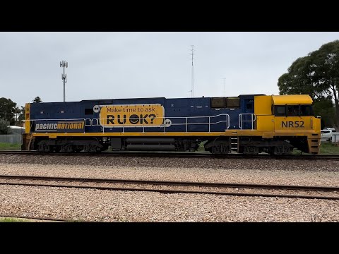 #NR52 runs 5455S through Crystal brook