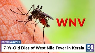 7-Yr-Old Dies of West Nile Fever in Kerala