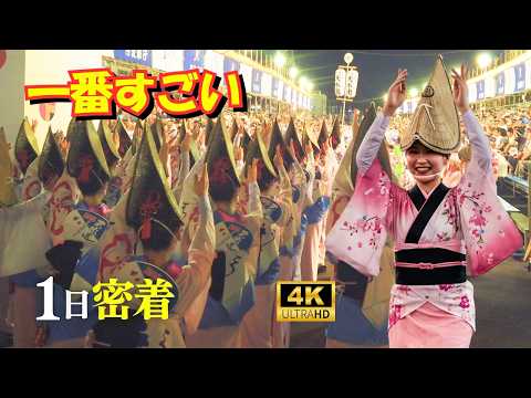 【街歩き】徳島阿波踊りの一日をすべて見せちゃいますスペシャル!60分拡大版