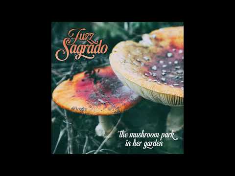 Fuzz Sagrado -- 05 A New Dimension (early demo) ----