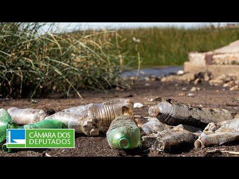 Comissão analisa acordos para reparação de crimes ambientais - 08/12/2023