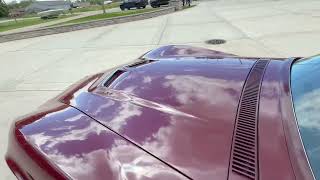 1969 Chevrolet Corvette Start Up & Idle
