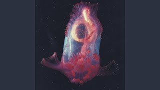 Not to Worry (feat. Grace Robinson)