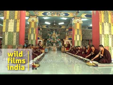 Buddhist monks pray during an evening congregation at Mindrolling Monastery