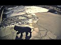 The Adventures Of Rasta Bowwow Episode 3047 02 07 2022